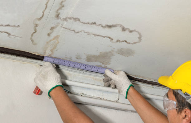 Affordable Water Damage Repair solutions in Ashford, WV